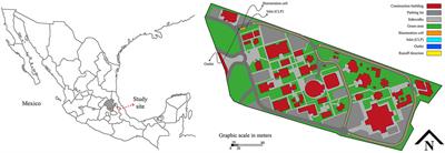 Depollution of first flush urban runoff in a field-scale bioretention cell adapted to semi-arid climates